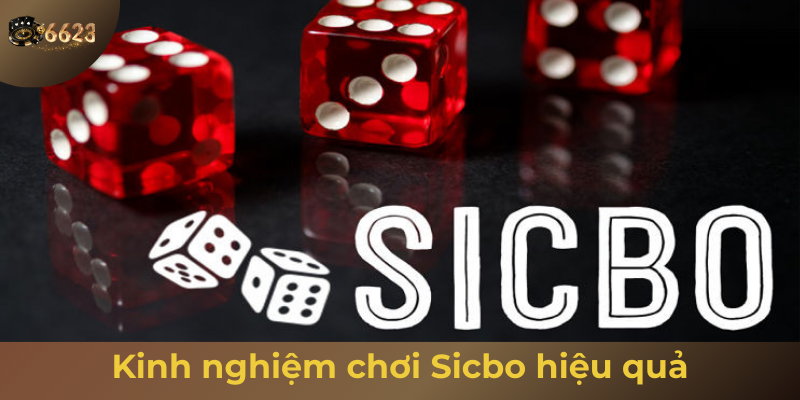 Ảnh minh hoạ: Kinh nghiệm chơi sicbo online mới tại 6623